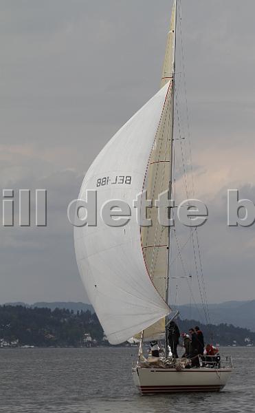 Bundefjorden2012 173.jpg